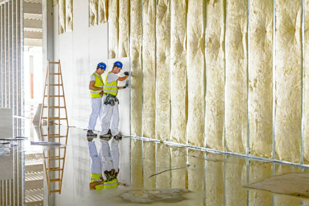 Best Commercial Insulation in Riverton, WY